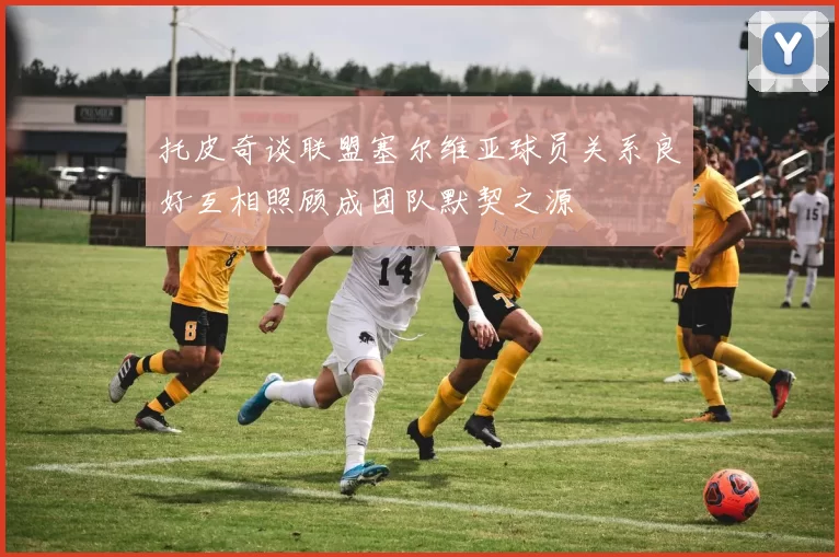托皮奇谈联盟塞尔维亚球员关系良好互相照顾成团队默契之源