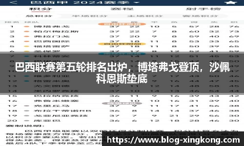 巴西联赛第五轮排名出炉，博塔弗戈登顶，沙佩科恩斯垫底