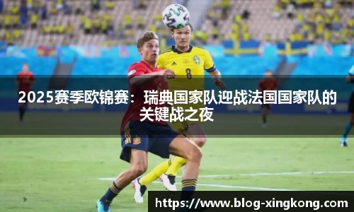 2025赛季欧锦赛：瑞典国家队迎战法国国家队的关键战之夜